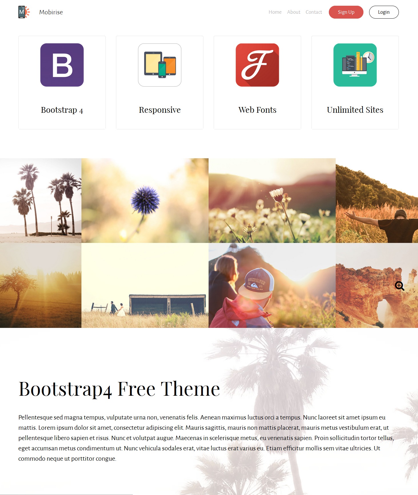 Mobile Bootstrap Education Theme