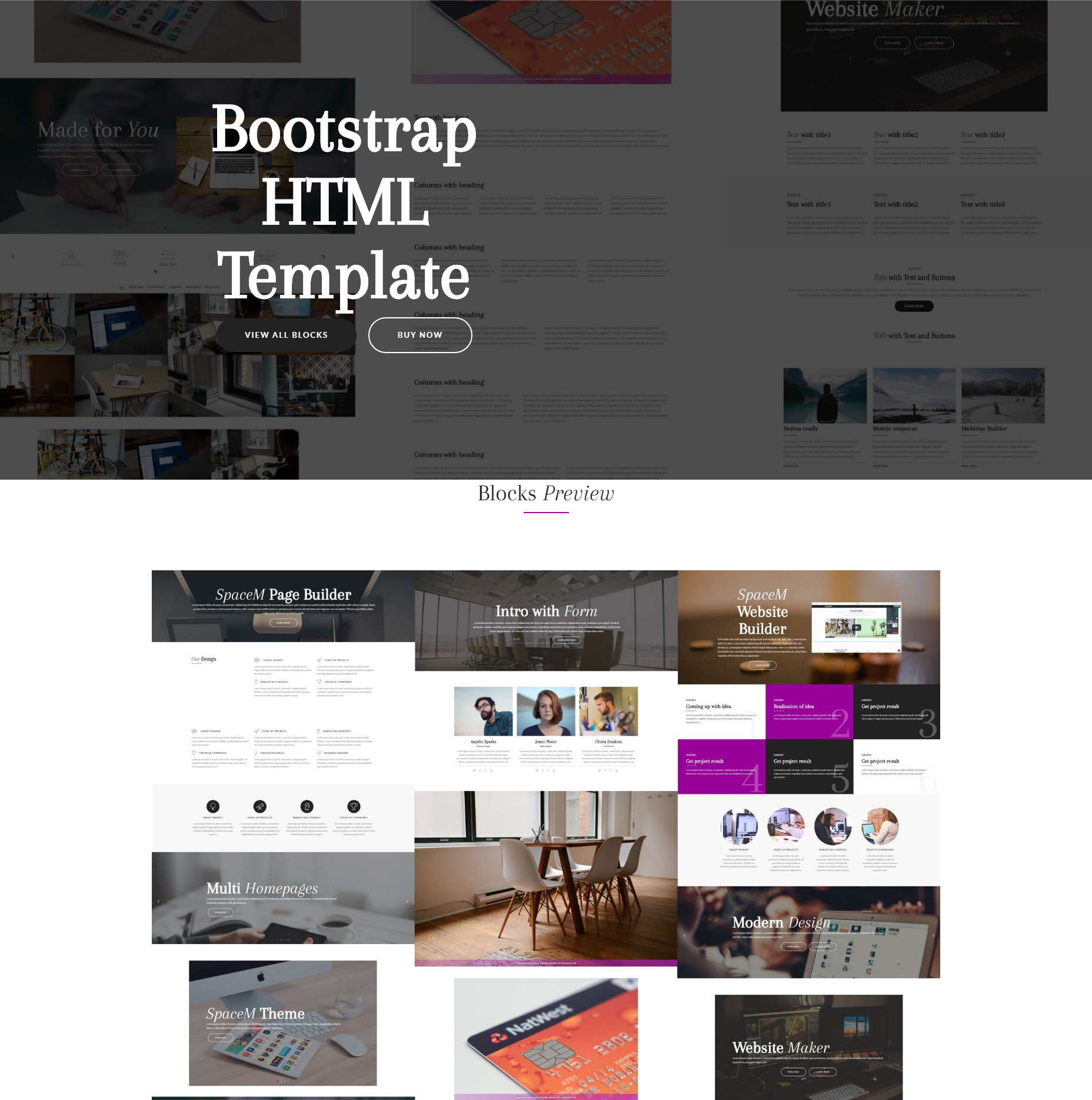 Responsive Bootstrap SpaceM Themes